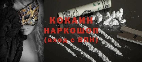гашик Няндома