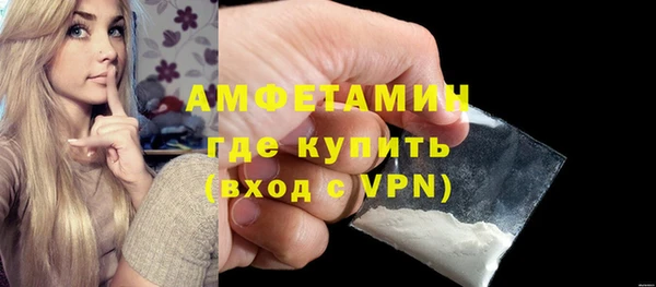 гашик Няндома