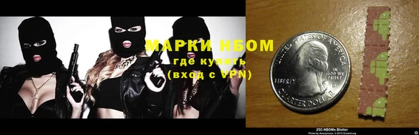 гашик Няндома
