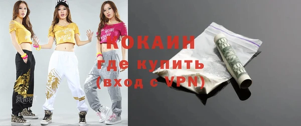 гашик Няндома