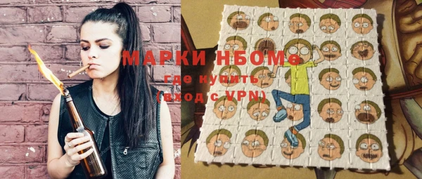 гашик Няндома
