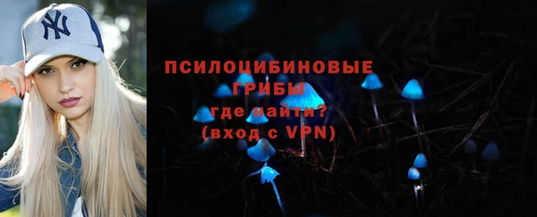 гашик Няндома