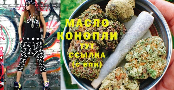гашик Няндома