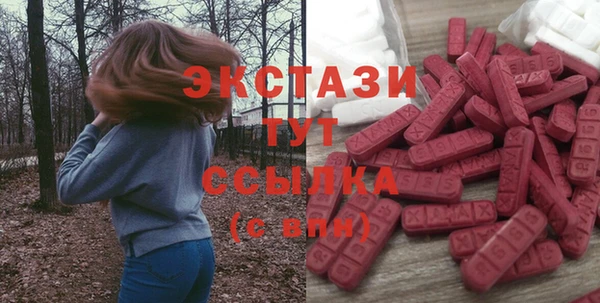 гашик Няндома