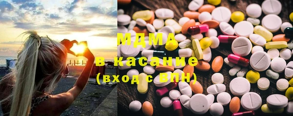 гашик Няндома