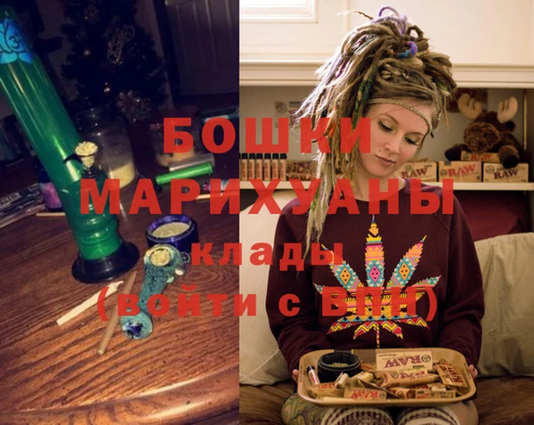 гашик Няндома