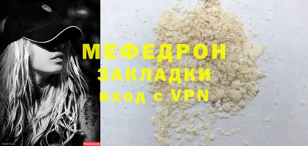 гашик Няндома