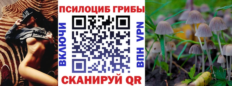 Псилоцибиновые грибы Psilocybine cubensis  Сызрань 