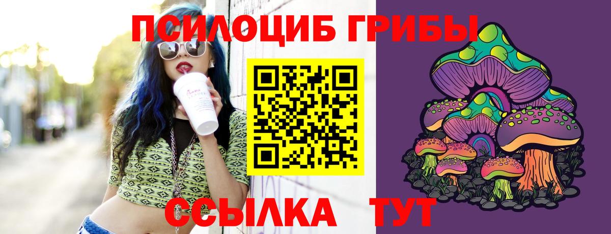 Псилоцибиновые грибы MAGIC MUSHROOMS  Вход с VPN  Псилоцибиновые грибы прущие грибы  Сызрань 